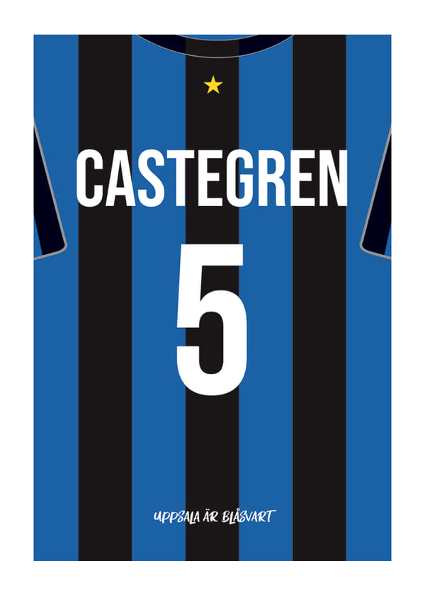 Poster Henrik Castegren #5