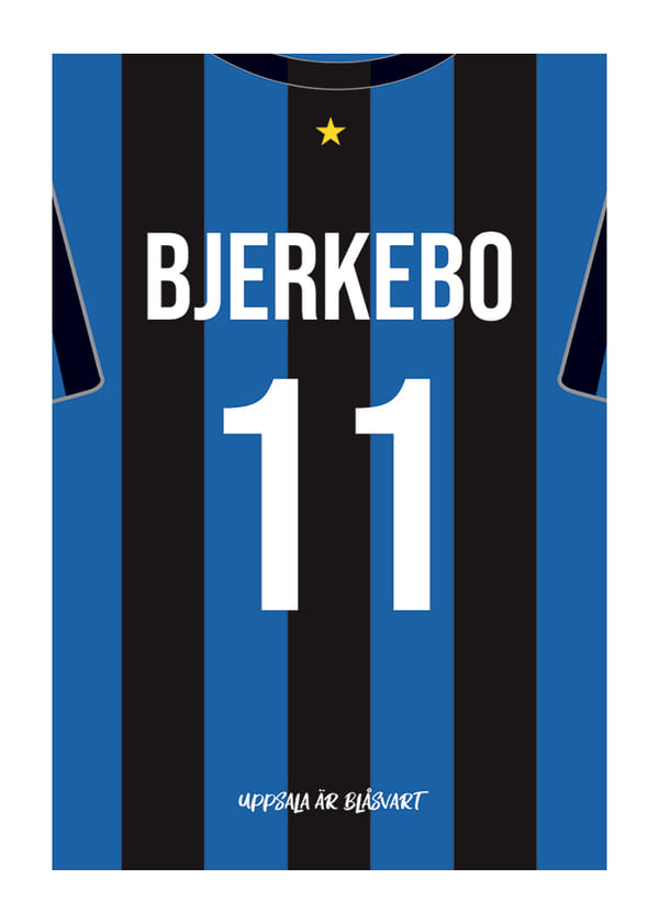 Poster Isak Bjerkebo #11