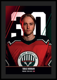 Tobias Normann #30 Frölunda HC 2026/2027-4