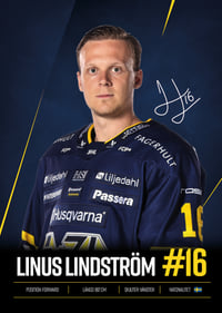 Linus Lindström #16 HV71 2026/2027-7