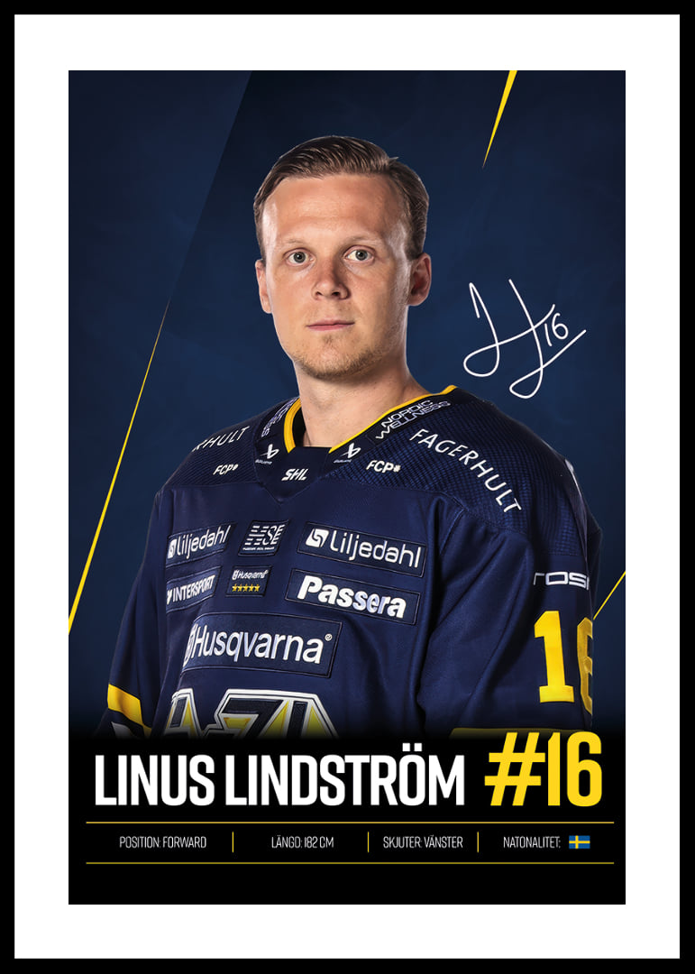 Linus Lindström #16 HV71 2026/2027-12