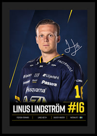 Linus Lindström #16 HV71 2026/2027-4