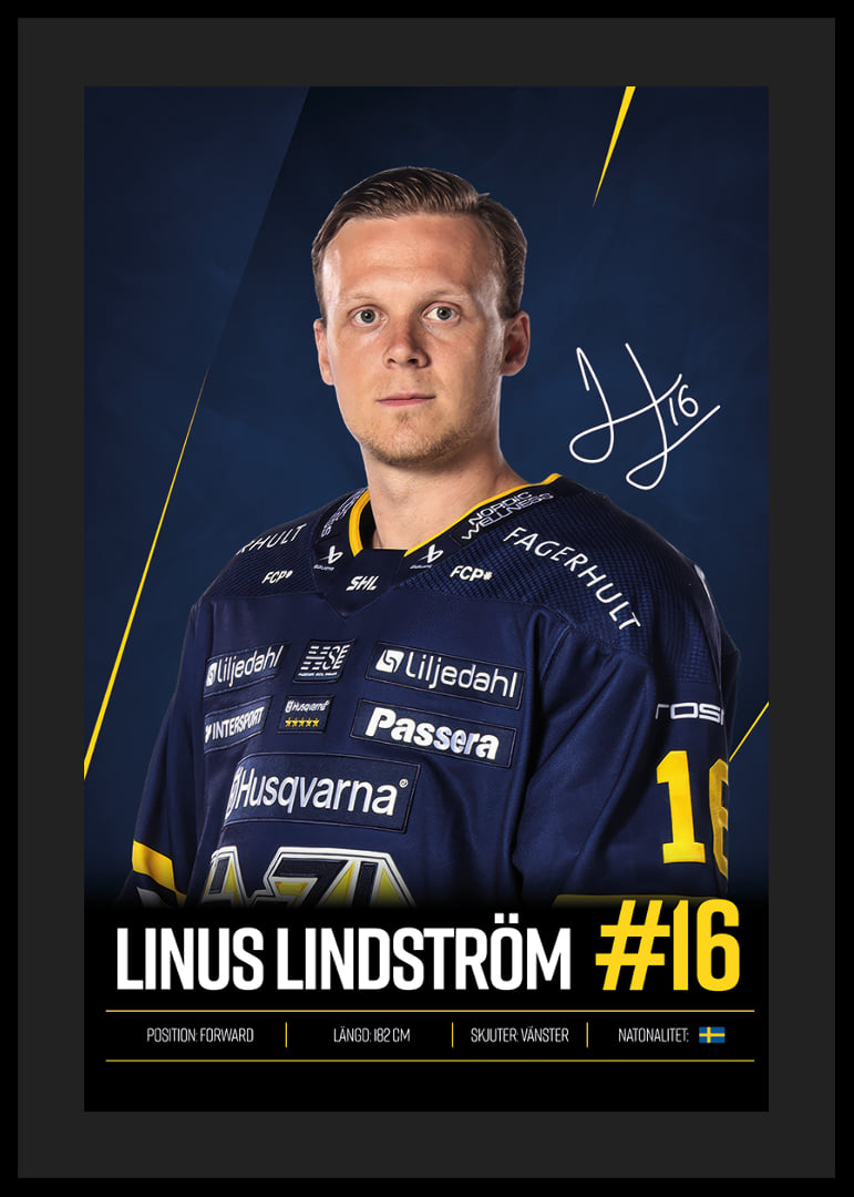 Linus Lindström #16 HV71 2026/2027-12