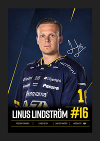 Linus Lindström #16 HV71 2026/2027-5