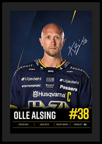 Olle Alsing #38 HV71 2026/2027-4