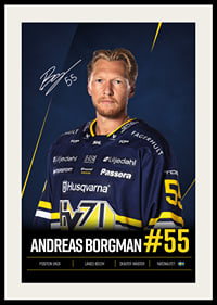Andreas Borgman #55 HV71 2026/2027-2