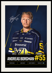 Andreas Borgman #55 HV71 2026/2027-2
