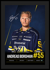 Andreas Borgman #55 HV71 2026/2027-4