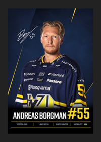 Andreas Borgman #55 HV71 2026/2027-5