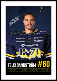 Felix Sandström #60 HV71 2026/2027-0