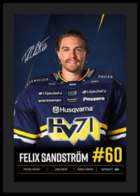 Felix Sandström #60 HV71 2026/2027-4