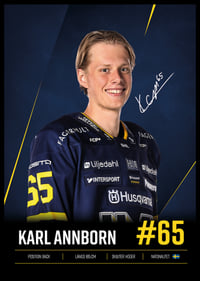 Karl Annborn #65 HV71 2026/2027-6