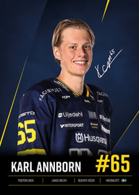 Karl Annborn #65 HV71 2026/2027-7