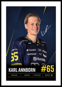 Karl Annborn #65 HV71 2026/2027-0