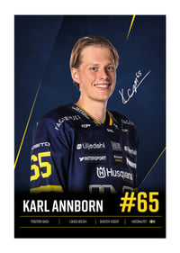 Karl Annborn #65 HV71 2026/2027-1