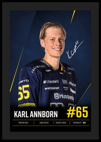 Karl Annborn #65 HV71 2026/2027-4