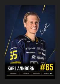 Karl Annborn #65 HV71 2026/2027-5
