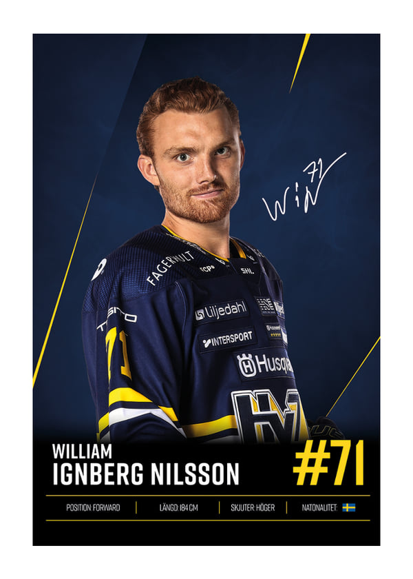 Poster William Ignberg Nilsson #71 HV71 2026/2027