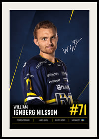 William Ignberg Nilsson #71 HV71 2026/2027-2