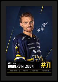 William Ignberg Nilsson #71 HV71 2026/2027-4