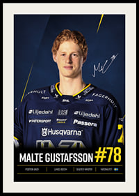Malte Gustafsson #78 HV71 2026/2027-2