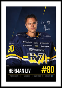 Herman Liv #80 HV71 2026/2027-0