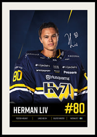 Herman Liv #80 HV71 2026/2027-2