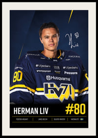 Herman Liv #80 HV71 2026/2027-2