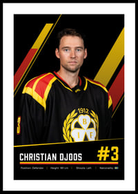 Christian Djoos #3 Brynäs IF 2026/2027-0