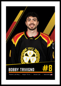 Bobby Trivigno #8 Brynäs IF 2026/2027-0