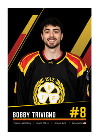 Bobby Trivigno #8 Brynäs IF 2026/2027-1