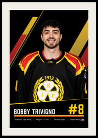 Bobby Trivigno #8 Brynäs IF 2026/2027-2