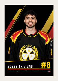 Bobby Trivigno #8 Brynäs IF 2026/2027-3