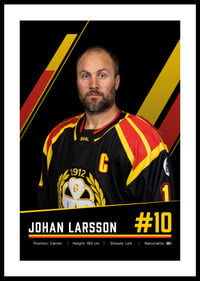 Johan Larsson #10 Brynäs IF 2026/2027-0