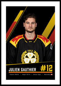 Julien Gauthier #12 Brynäs IF 2026/2027-0