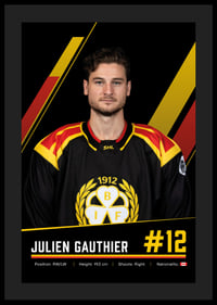 Julien Gauthier #12 Brynäs IF 2026/2027-4