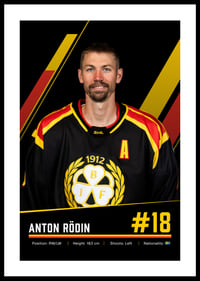 Anton Rödin #18 Brynäs IF 2026/2027-0