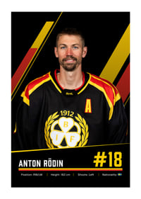 Anton Rödin #18 Brynäs IF 2026/2027-1