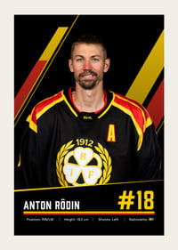Anton Rödin #18 Brynäs IF 2026/2027-3