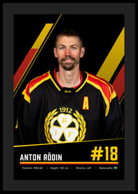 Anton Rödin #18 Brynäs IF 2026/2027-4