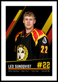Leo Sundqvist #22 Brynäs IF 2026/2027-0