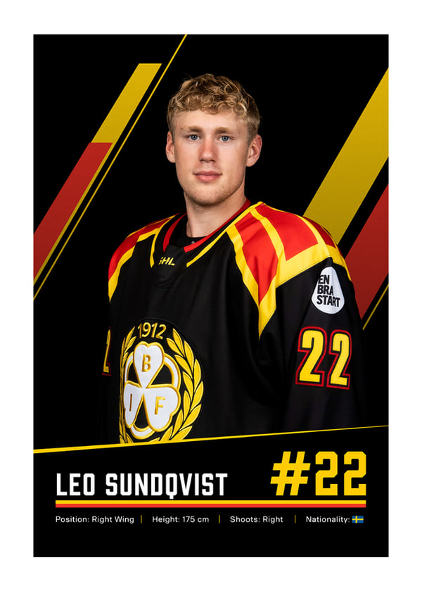 Poster Leo Sundqvist #22 Brynäs IF 2026/2027