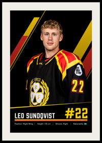 Leo Sundqvist #22 Brynäs IF 2026/2027-2