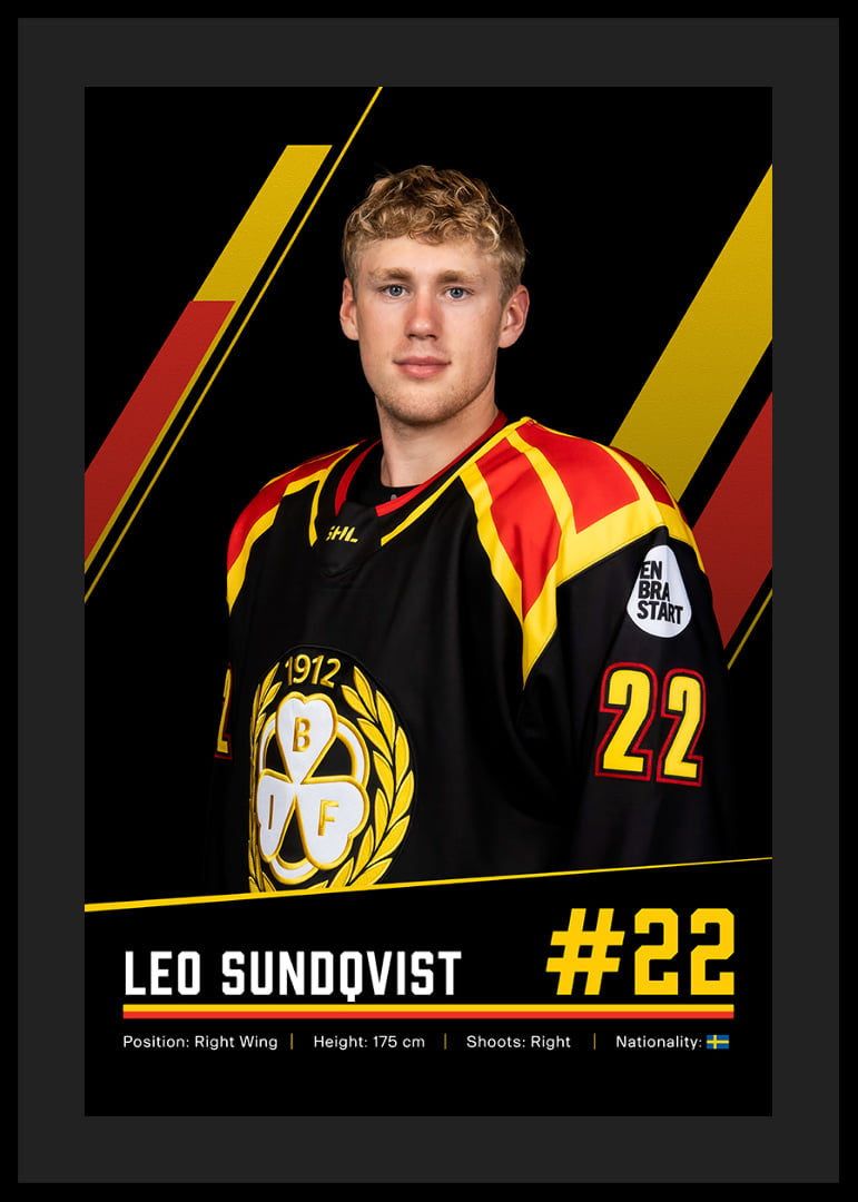 Leo Sundqvist #22 Brynäs IF 2026/2027-12