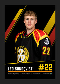 Leo Sundqvist #22 Brynäs IF 2026/2027-5