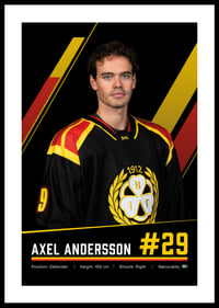 Axel Andersson #29 Brynäs IF 2026/2027-0