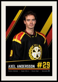 Axel Andersson #29 Brynäs IF 2026/2027-2