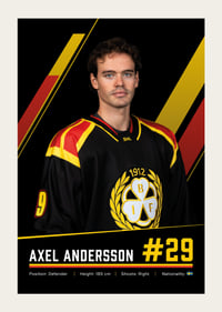 Axel Andersson #29 Brynäs IF 2026/2027-3