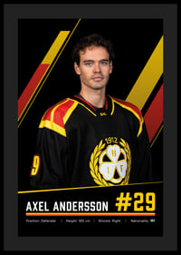 Axel Andersson #29 Brynäs IF 2026/2027-4