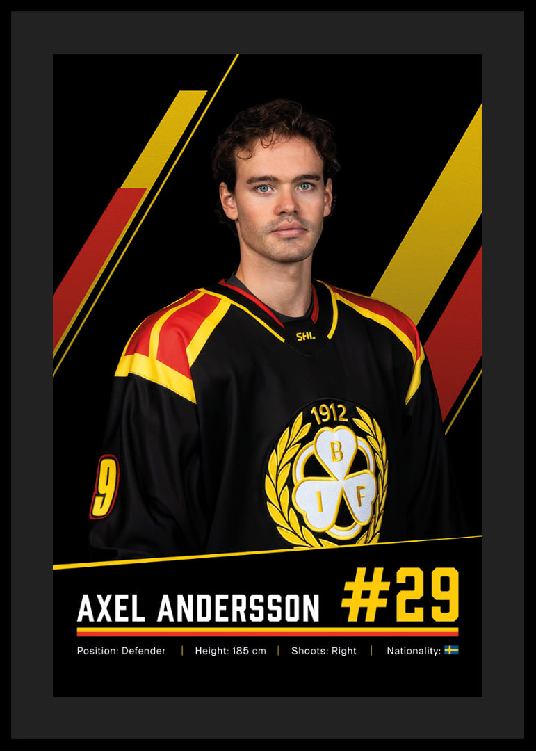 Axel Andersson #29 Brynäs IF 2026/2027-12